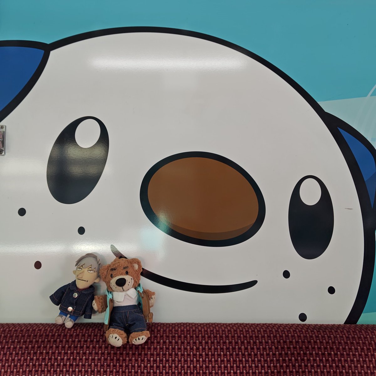 チャウチャウ tweet media
