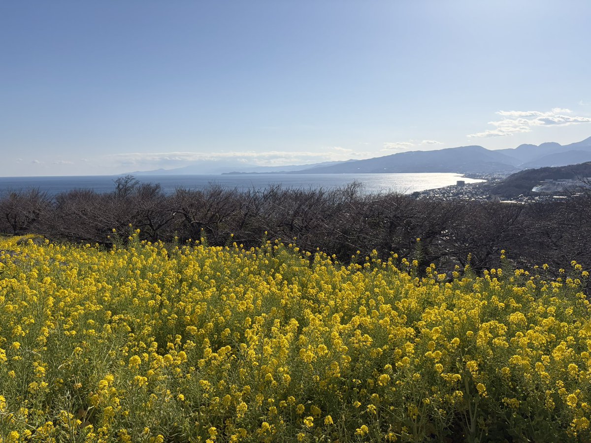 なおきΔ tweet media