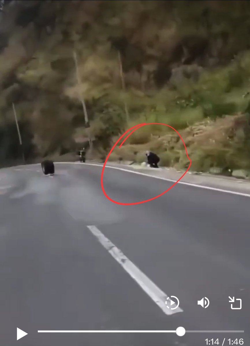 𝖍𝖆𝖗𝖗𝖞 | 哈里 tweet media