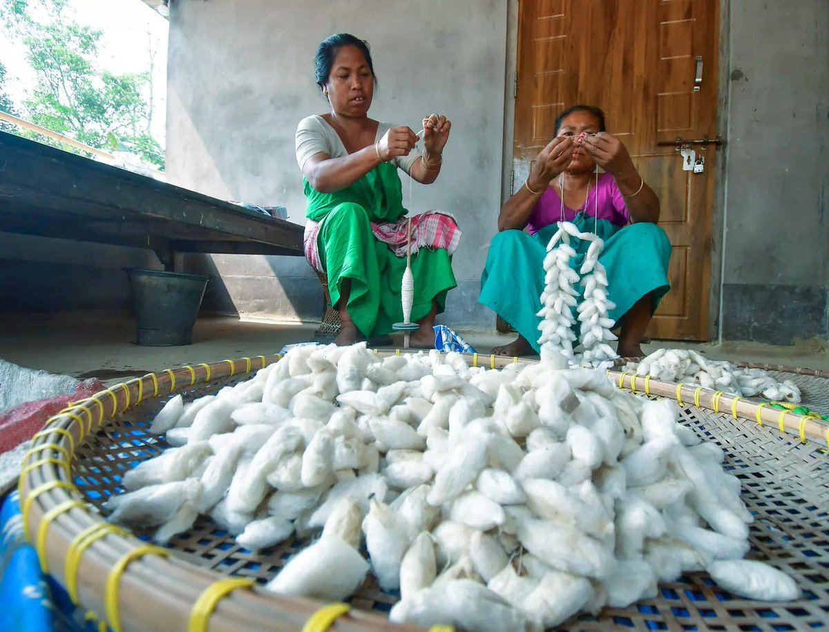 timesofindia's tweet photo. A glimpse into the traditional craft of sericulture- A tribal woman tends to Eri silkworm larvae, carefully feeding them castor leaves at her home on International Women's Day in Nagaon. 🐛🌿

#InternationalWomensDay #Nagaon #Assam #EriSilk #Sericulture https://t.co/fCwhUM3eay