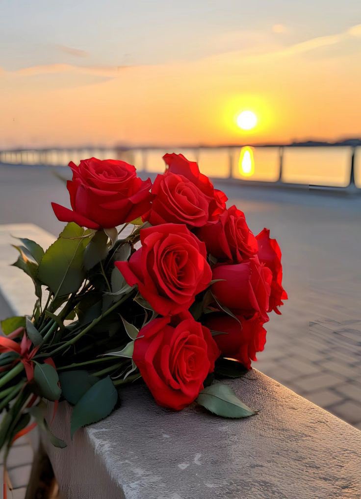 Doğumuyla bir babaya cennet kapısı açan, evlenir yuvayı  eşine ve ailesine mabet yapan, anne olur cennet ayakların altında olan baştağcımız güzel yürekler ve hayatımıza değer katan kadınlar günü kutlu olsun.