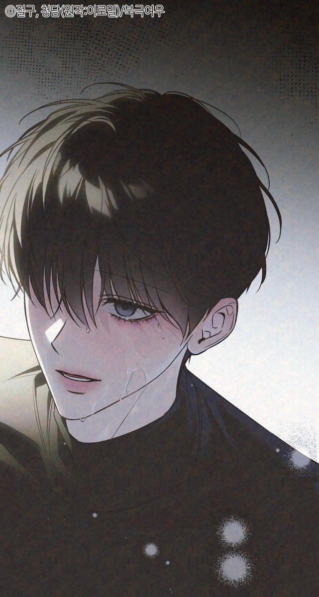 북극여우 만화 tweet media