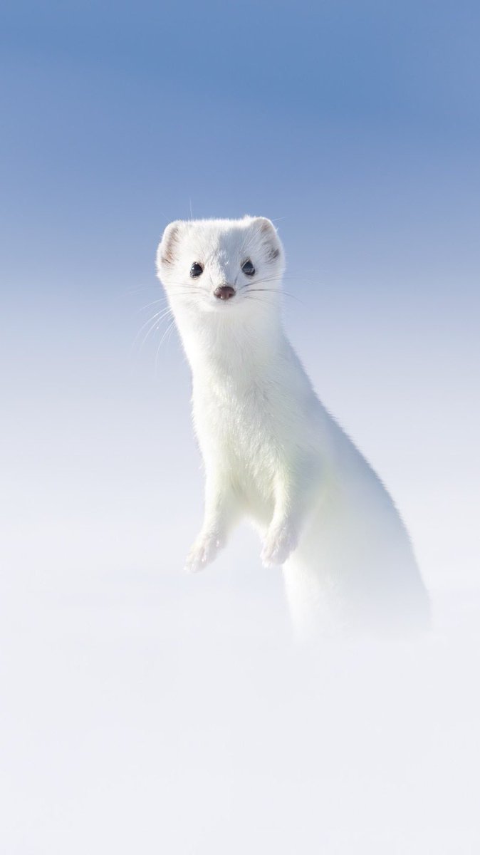 UNCLE BBB tweet media