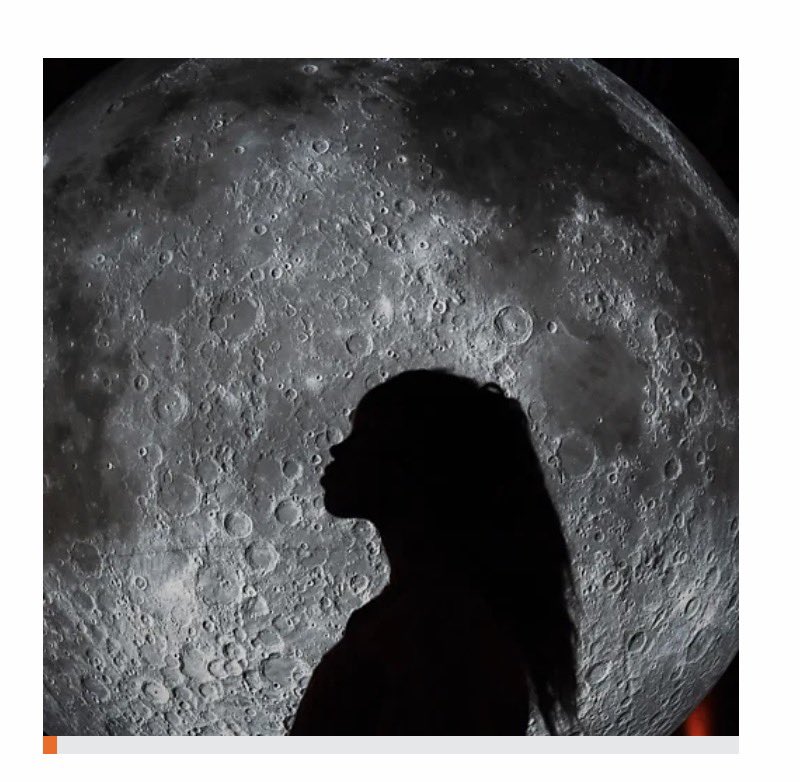 Sue Nelson tweet media