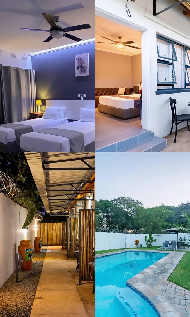 Zimadventures tweet media