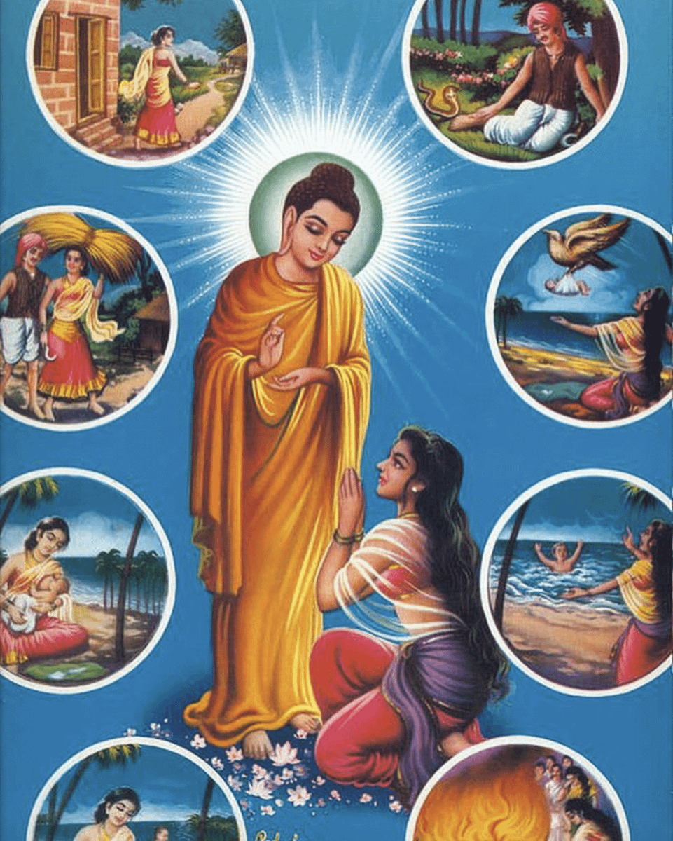 DAILY DOSE OF DHAMMA tweet media