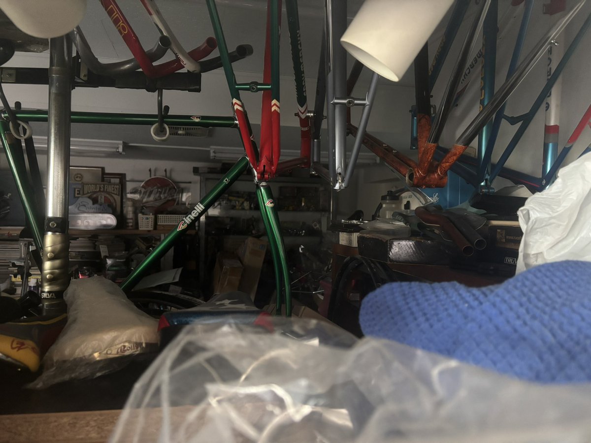 シューティングスター tweet media