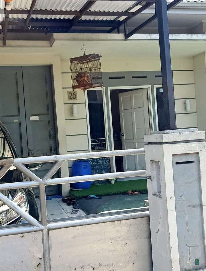 Tetangga umi melihara bola basket