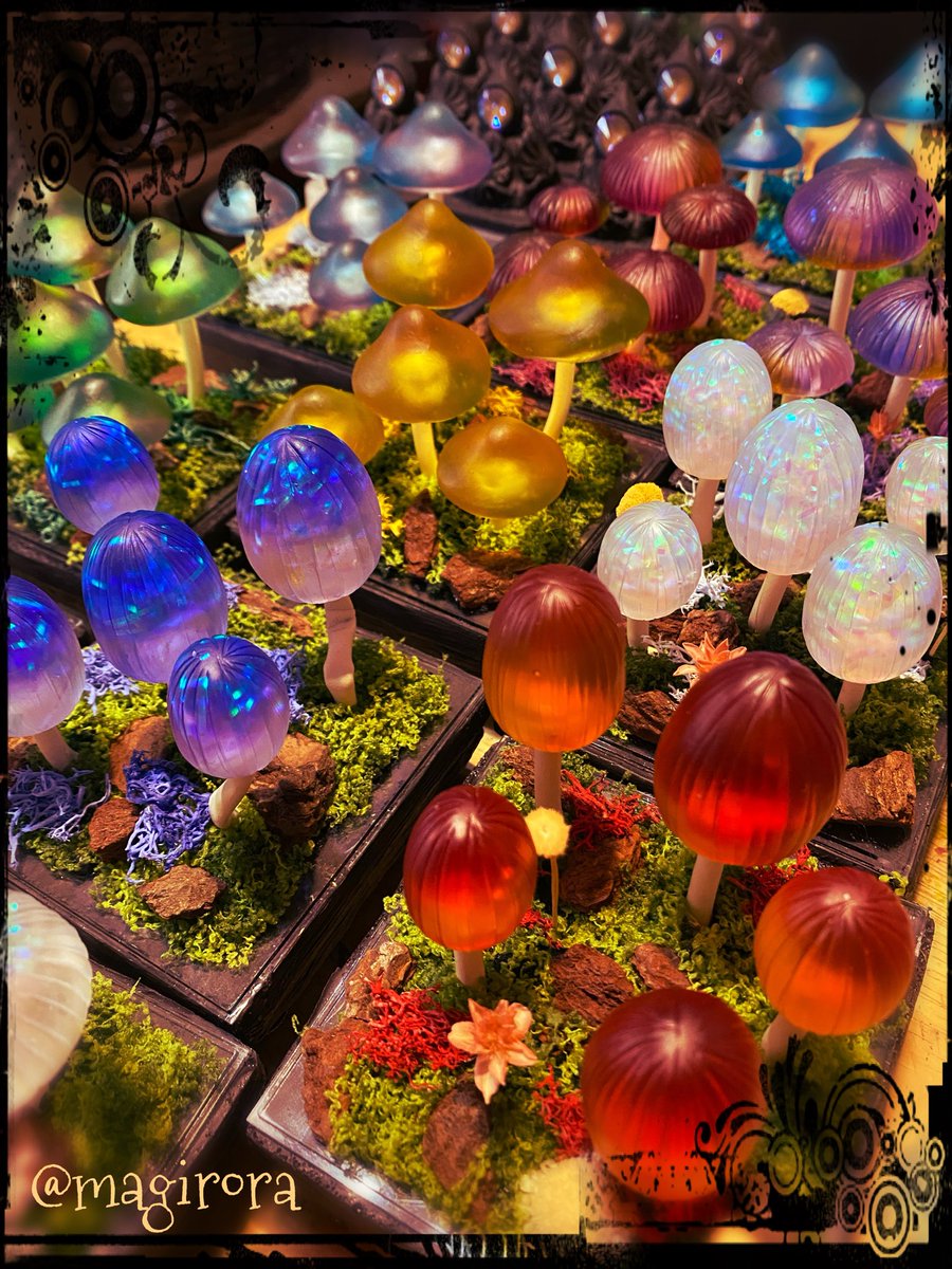 𖡼.𖥧マジロラ魔法雑貨店𖡼.𖥧* tweet media