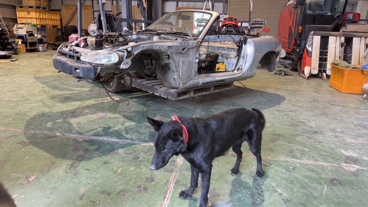 ばちいけ！もえみたん🫶 tweet media