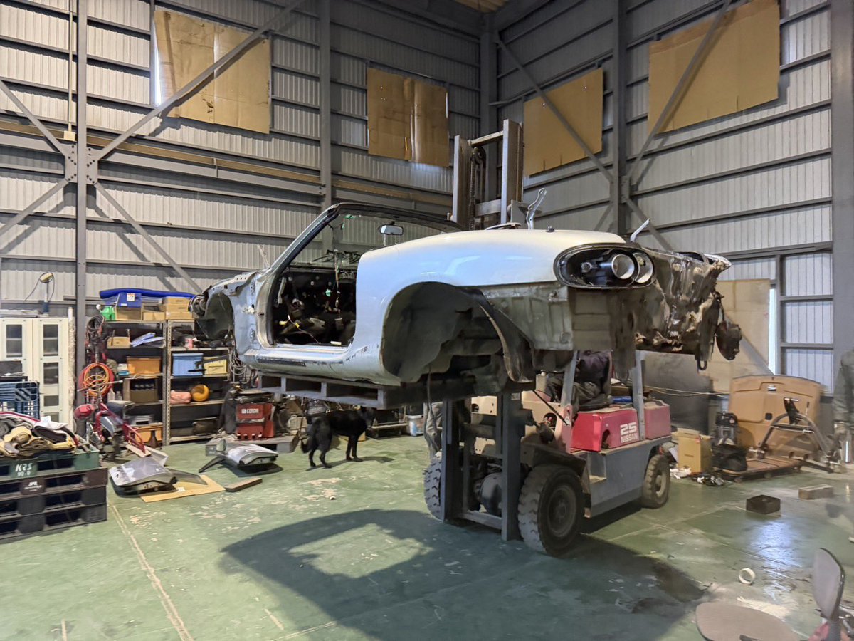 ばちいけ！もえみたん🫶 tweet media