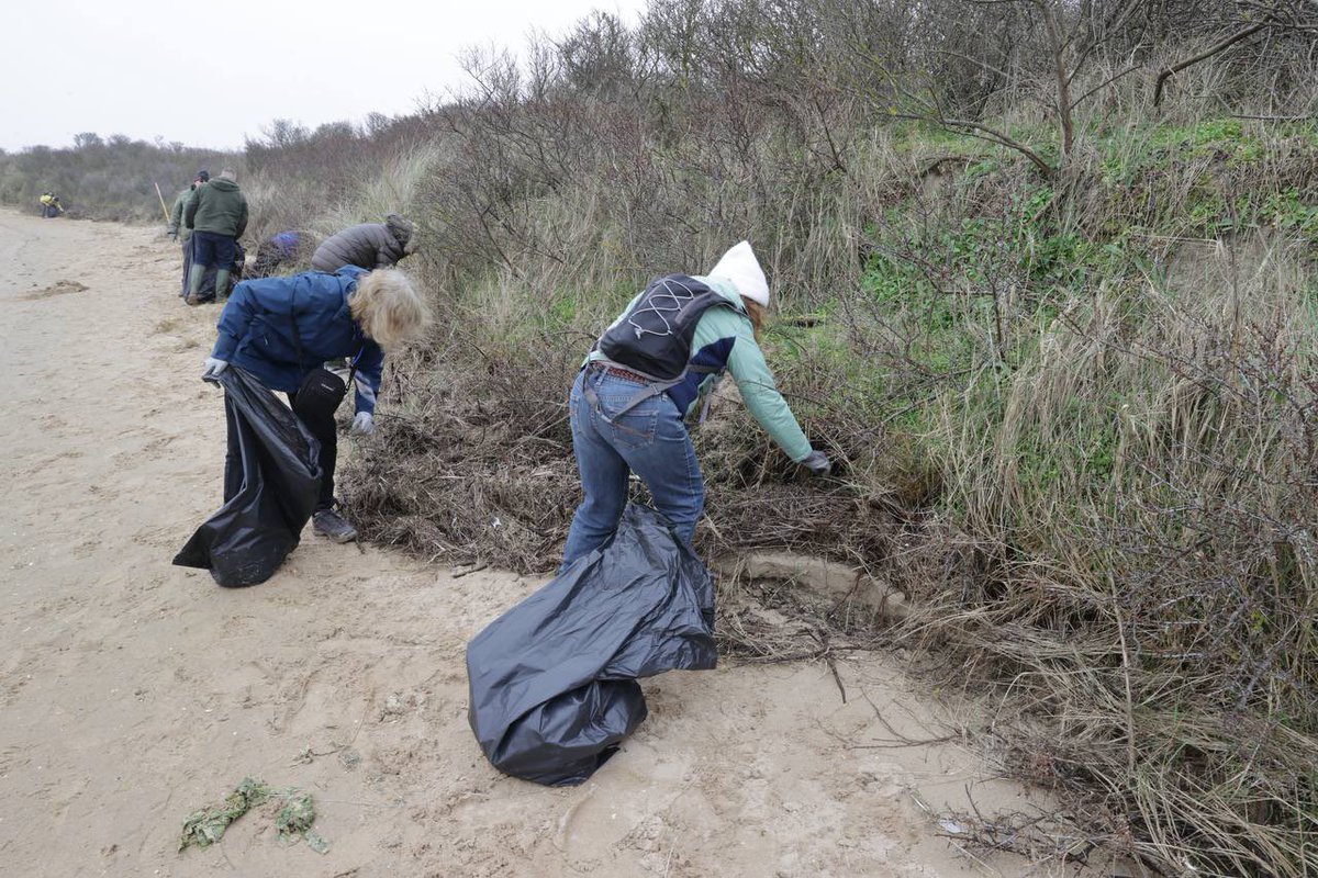 hautsdefrance's tweet photo. 🌸 L’opération #HDFPropres se poursuit toute la journée !
♻️ Dans chaque territoire des #hautsdefrance, les habitants se mobilisent pour préserver la nature et protéger la biodiversité.
🍀 Rejoignez un point de collecte près de chez vous 👉 https://t.co/2q7BhcSMVR https://t.co/gbL7UxEKbc