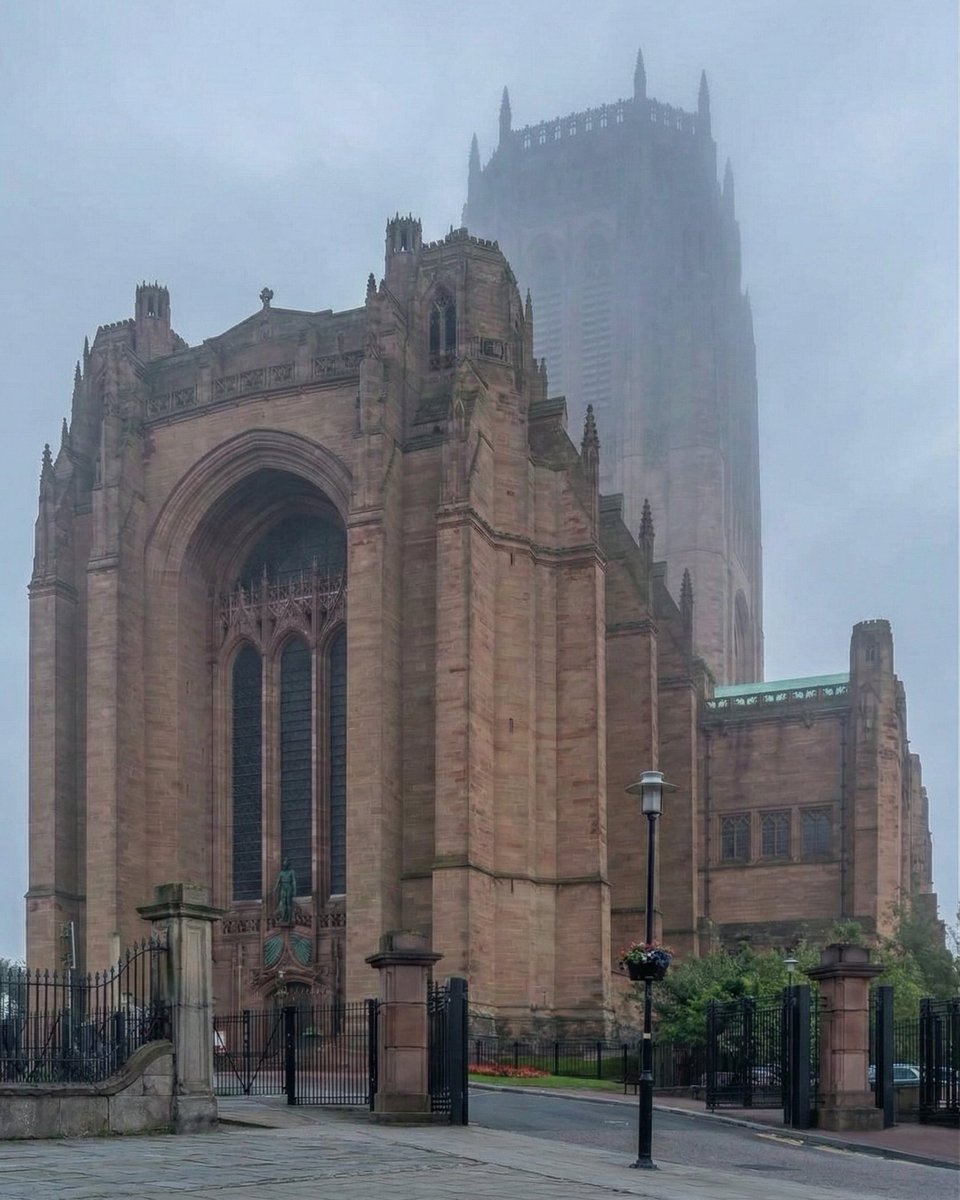 Liverpool Vista tweet media