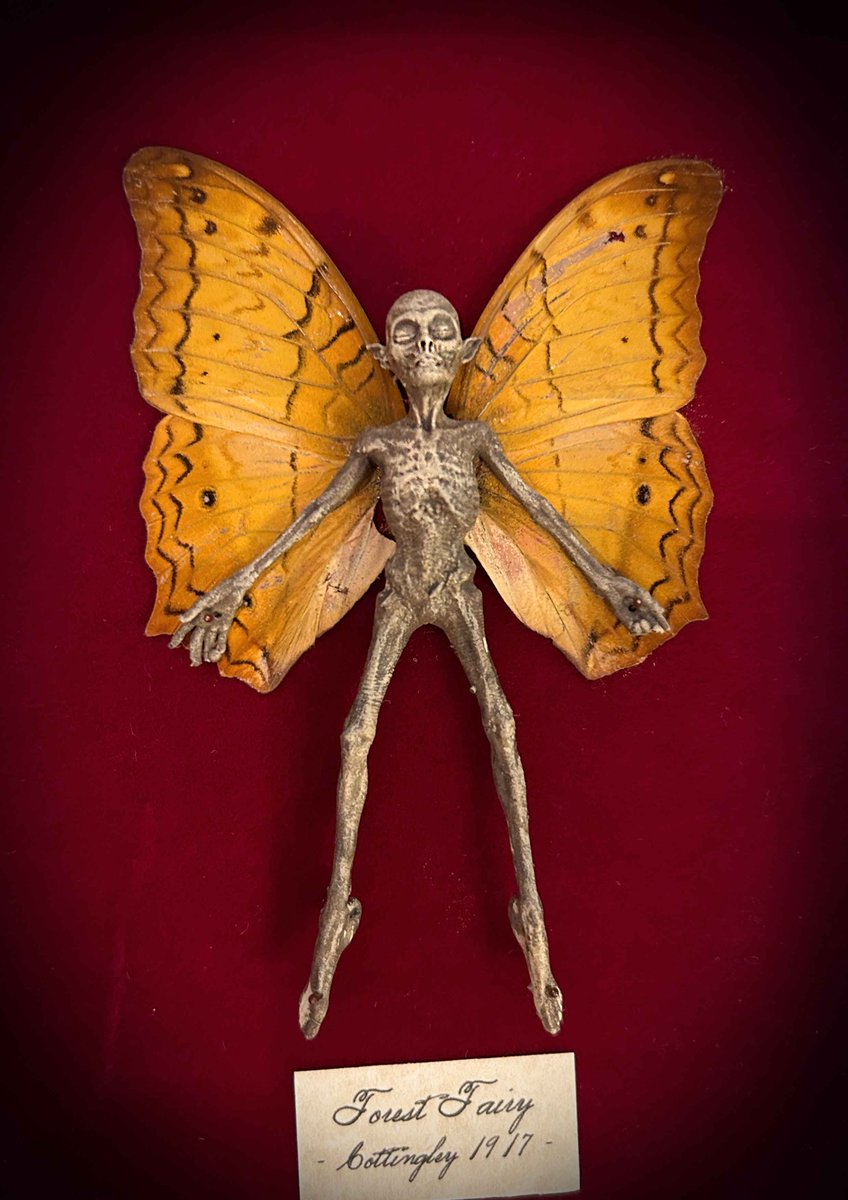 A Forest Fairy. Preserved. Real butterfly wings. Sealed within in