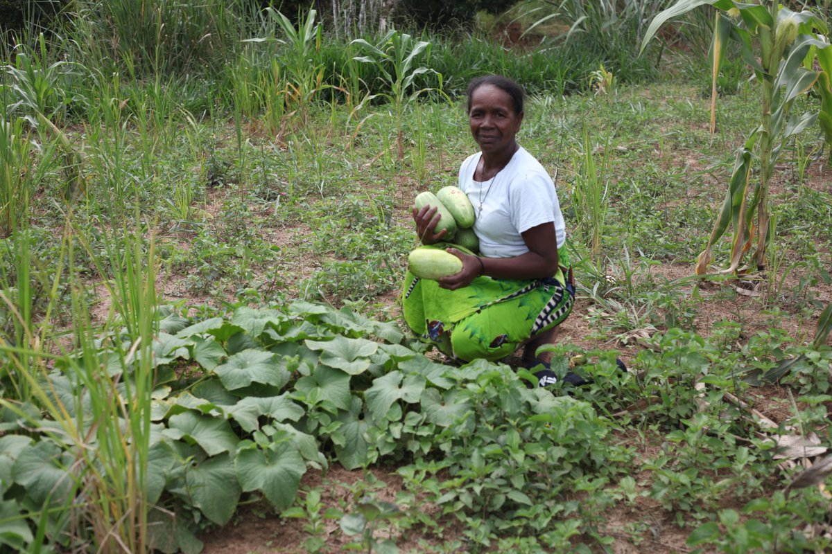 Money For Madagascar tweet media