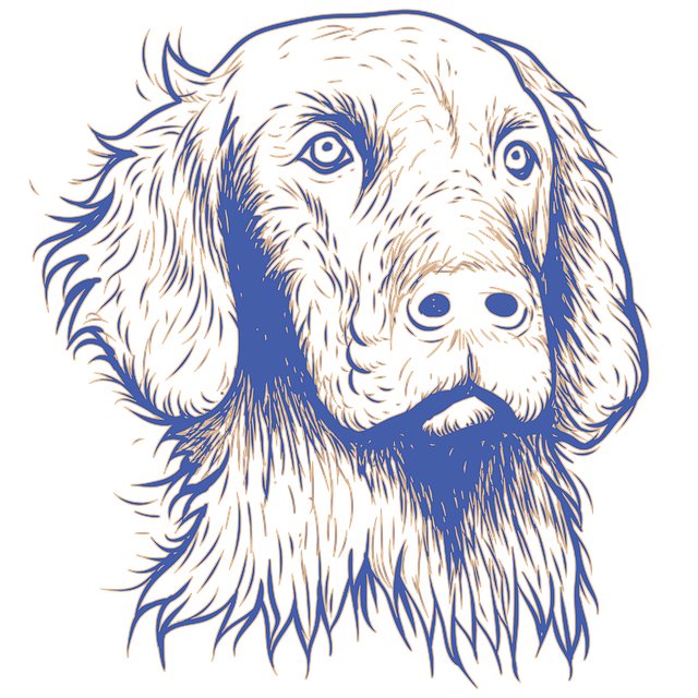 Sherrill Castner tweet media