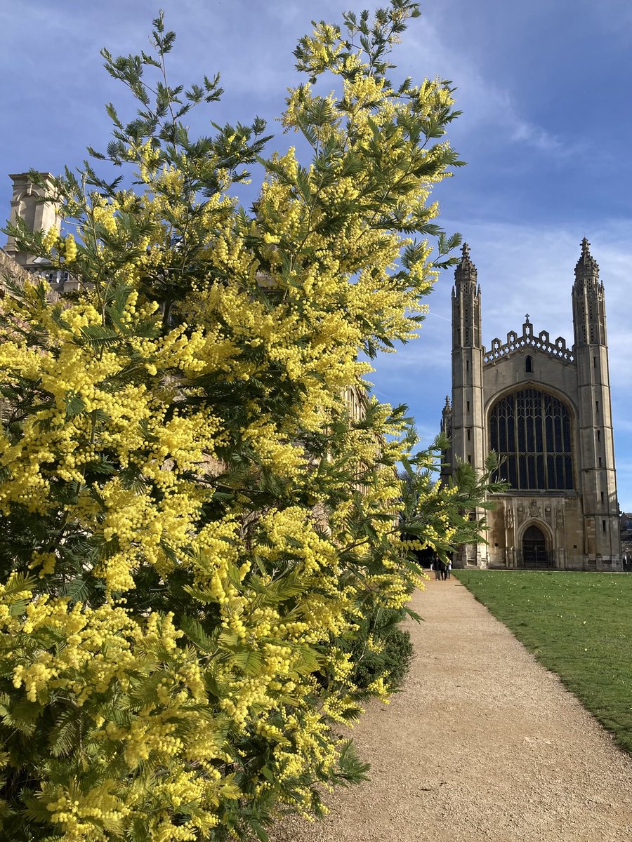 Sandy De Born tweet media