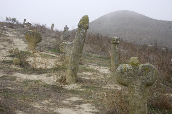 greenprophet tweet media