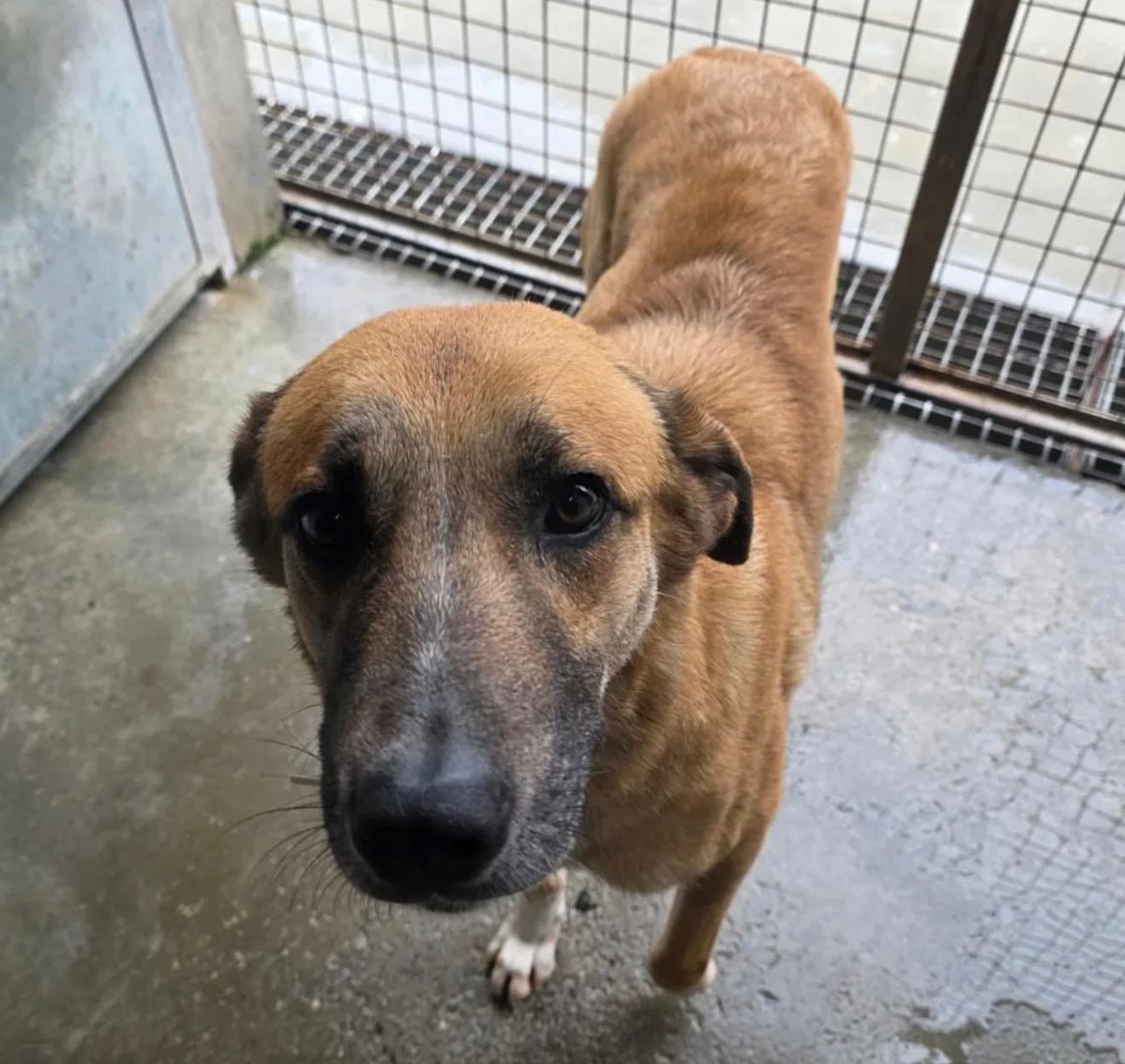 José Zaragoza tweet media