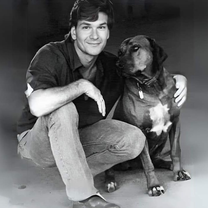 Dog Lovers tweet media