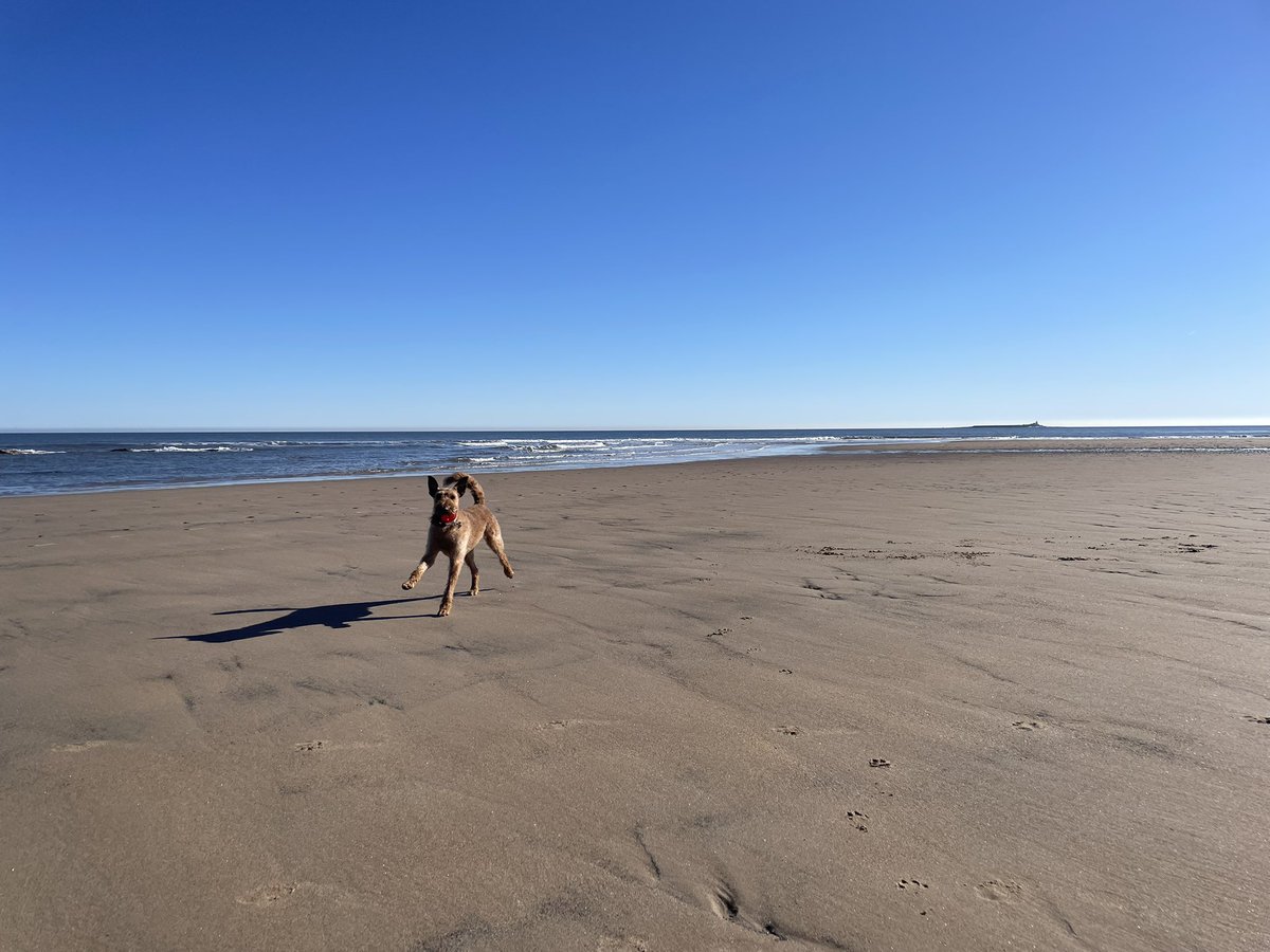 Ola Kwiecien tweet media