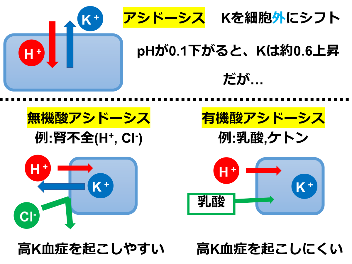 ちーの / 臨床薬学 tweet media