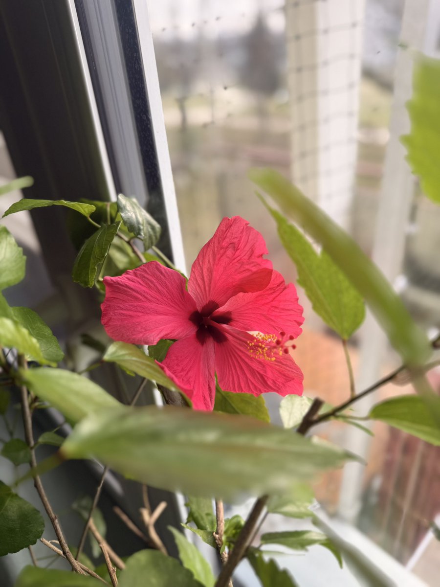 rea⚡️ tweet media