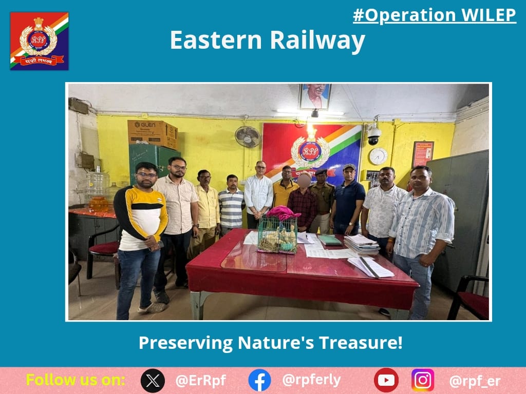 ErRpf's tweet photo. On 07.03.2026, RPF officials apprehended 01 person with recovery of 06 Nos. live baby Swan (Rajhans) from Barddhaman Railway station and handed them over to Forest Range Officer/Burdwan for next course of action.
#OperationWILEP
@RPF_INDIA
@RailMinIndia https://t.co/tTCK4GAkh3