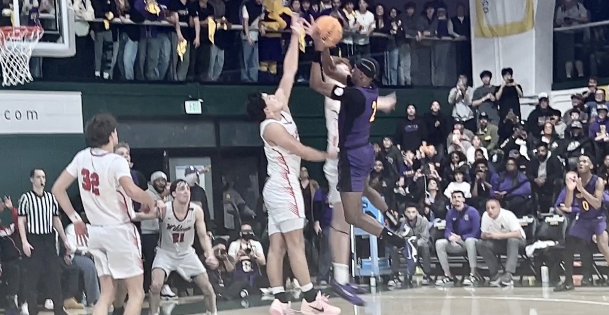 Mitch Stephens tweet media