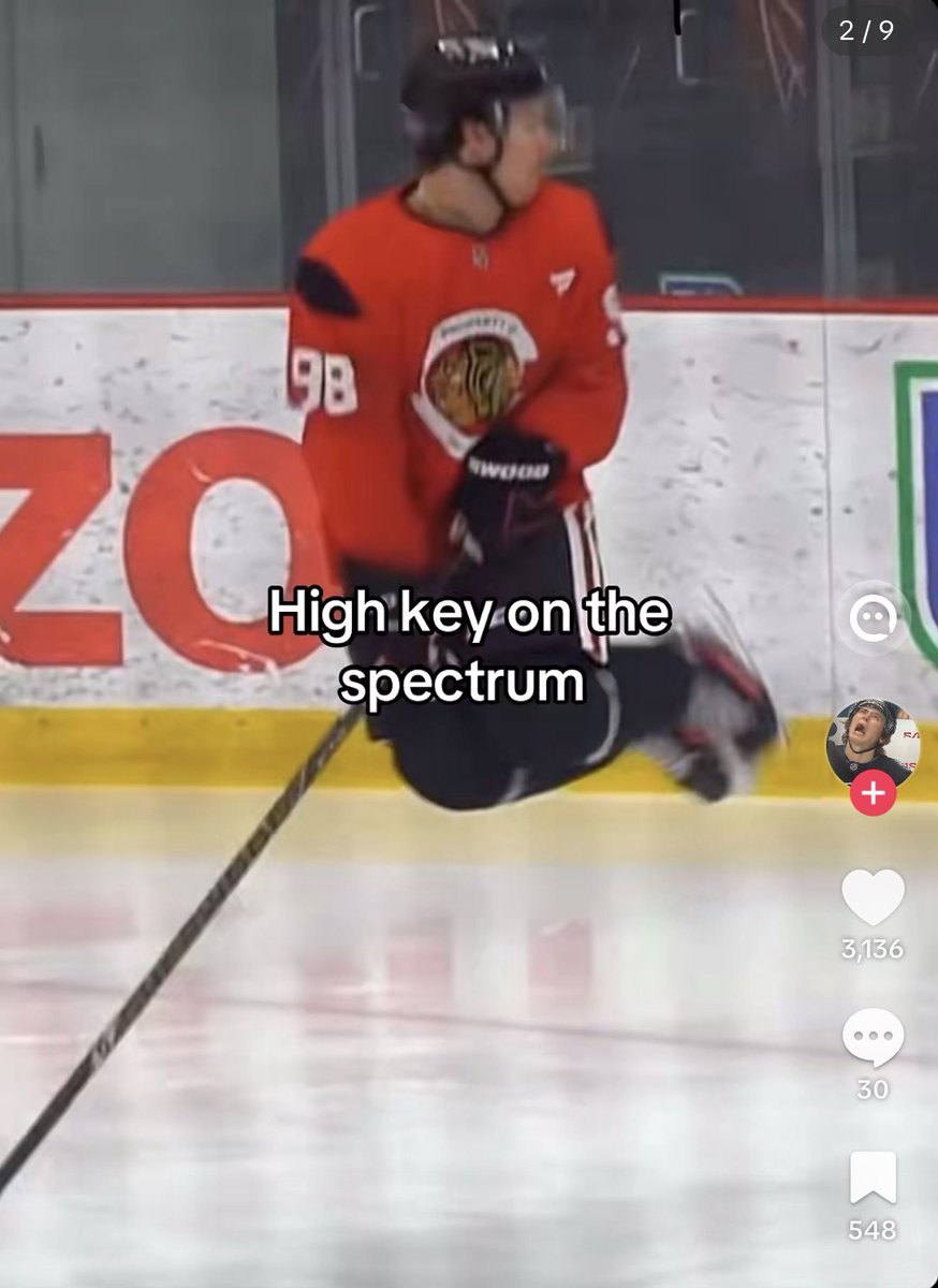 hockey tiktok is not real bro 😭