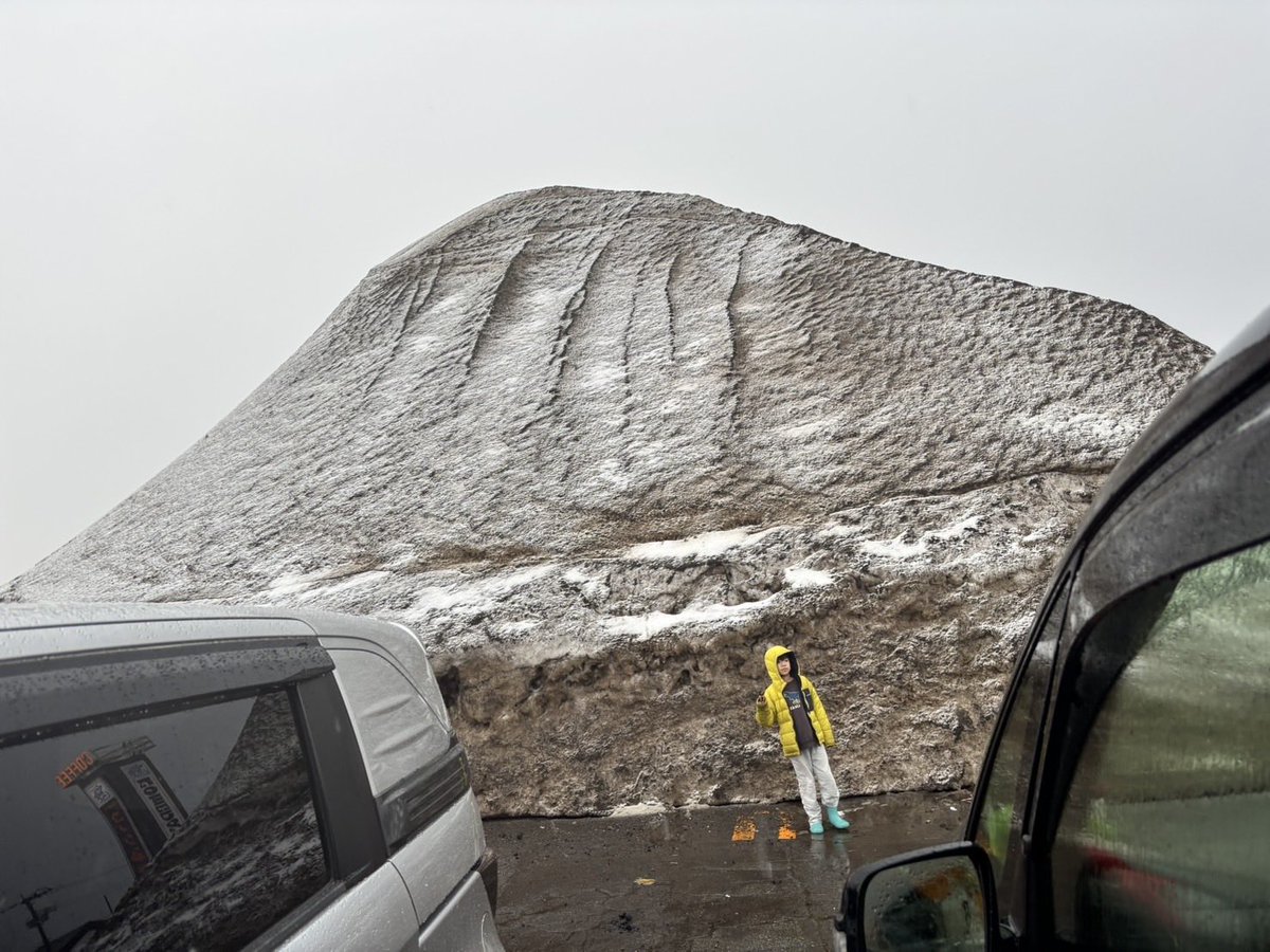 今井雄輝 tweet media