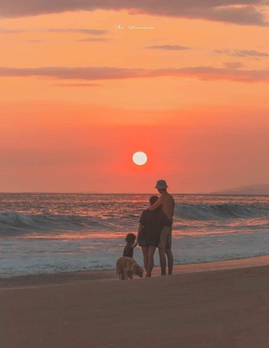 Anoche soñé bonito:
El sueño: