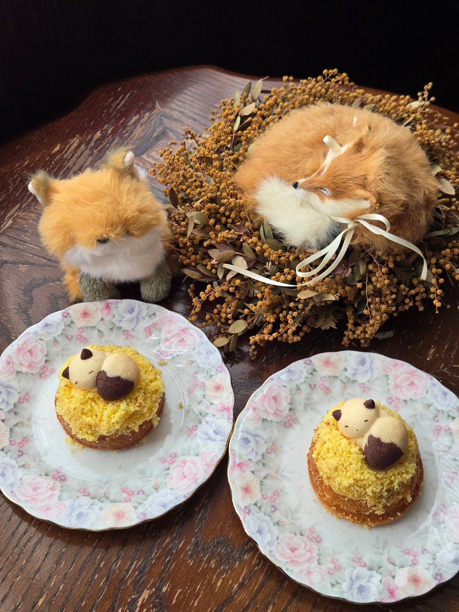 #ミモザの日 
🦊