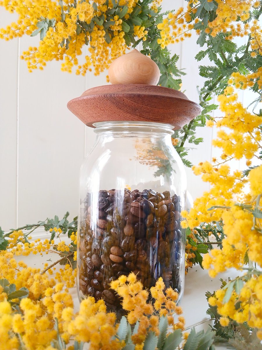 _futagonohoshi_'s tweet photo. 今日は🌼ミモザの日🌼ですね😊

双子の星には🌟mimosa✨幸せの星✨南十字星ブレンド🌟があります✨🌟

✨浅煎り✨中煎り✨中深煎り✨深煎り✨4焙煎をブレンドしたコーヒー���です☕️🌟🌈

🌼 #ミモザの日 #3月8日 #ミモザ #mimosa
🌟 #南十字星  #サザンクロス
☕️ #オーガニック #コーヒー豆 #���琲豆 https://t.co/Pdt1gBLbyj