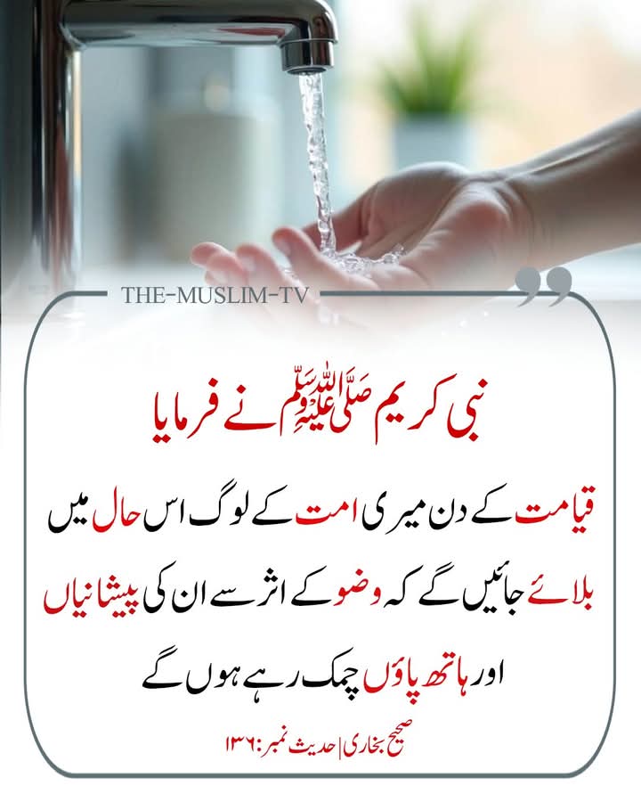 رسول اللہ ﷺ نے فرمایا 🌼🌿