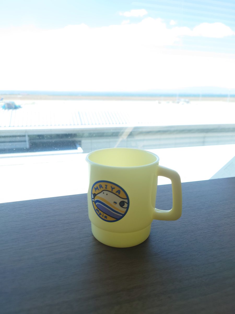 めちゃ可愛いカップゲット☆

#航空ファンミーティング