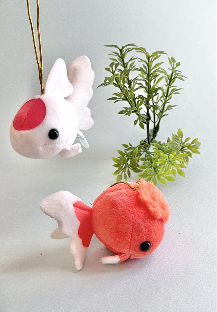 宇山あゆみ tweet media