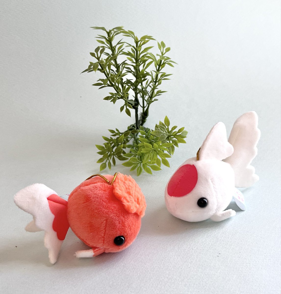 宇山あゆみ tweet media