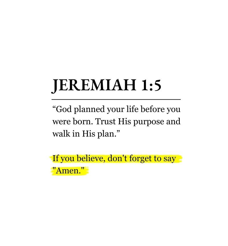 Holy Bible tweet media