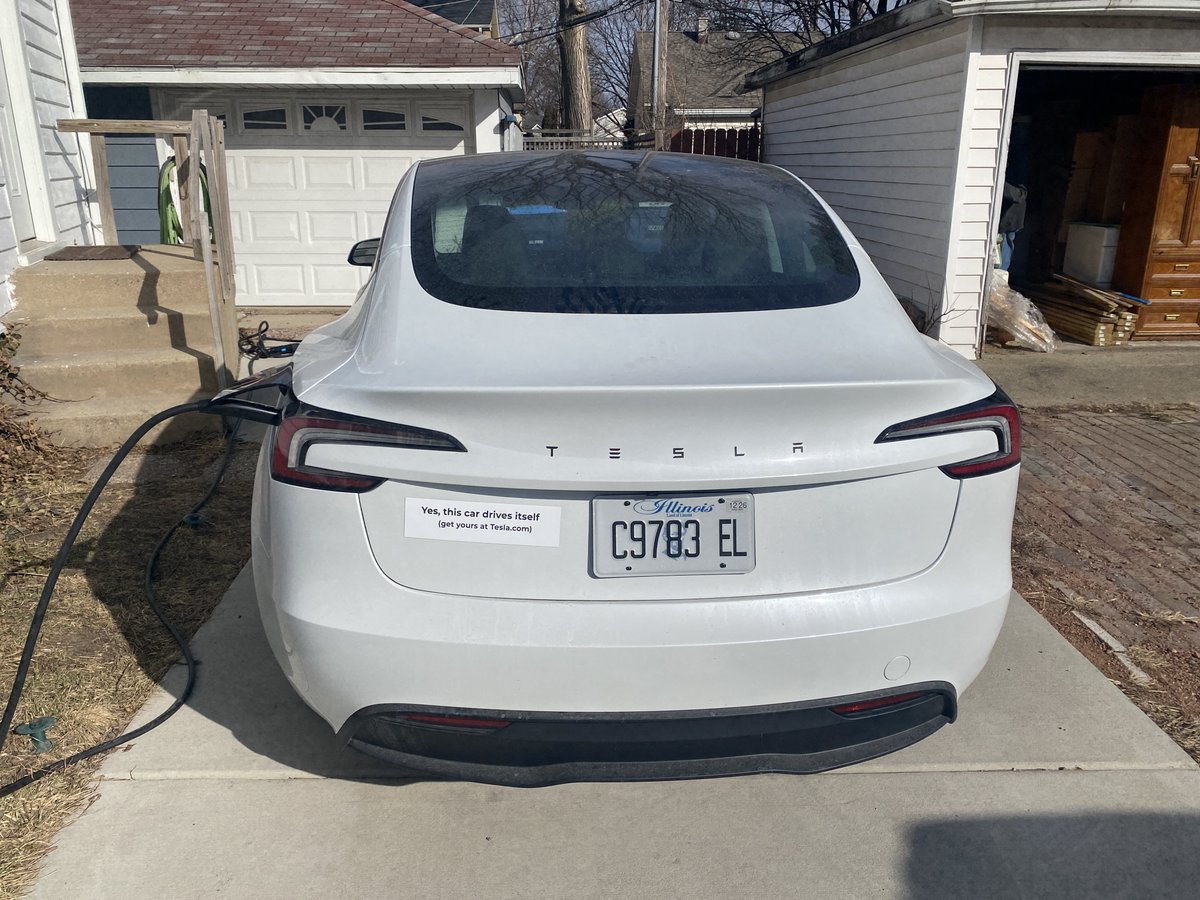 The Happy Walrus tweet media