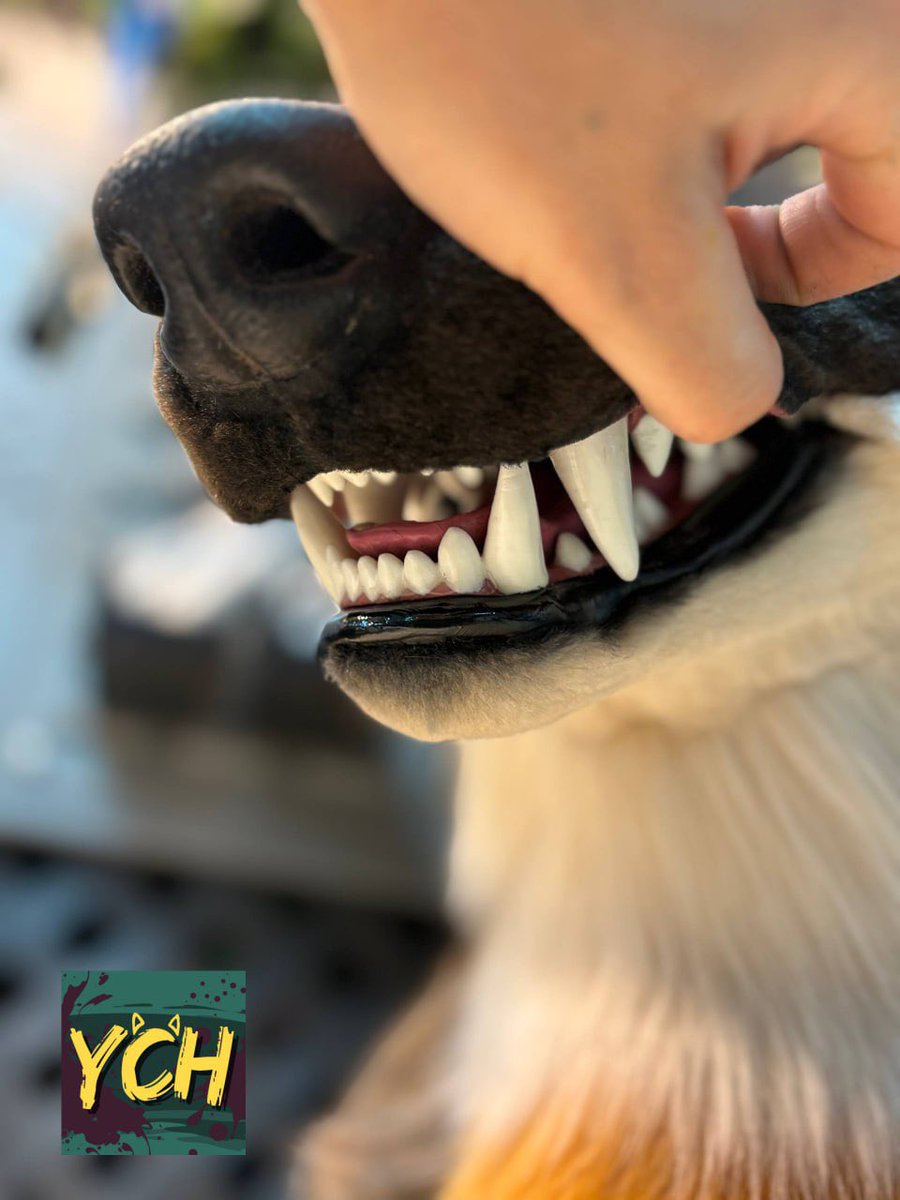 Yazur's Critters Hub 🐾 tweet media