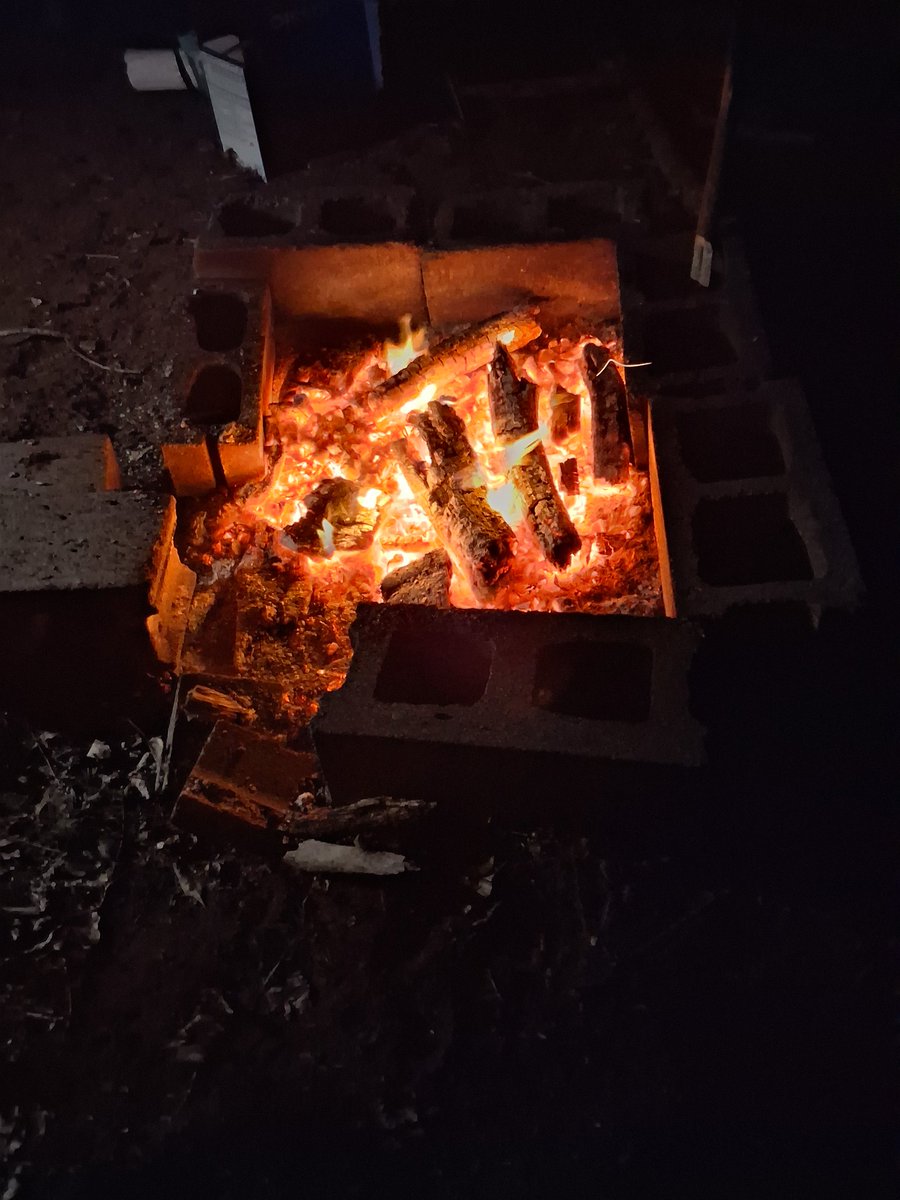 Bovine Thots With Poppin Twats tweet media