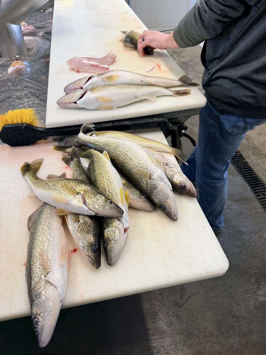 C.M. Loofe, Ed. D tweet media