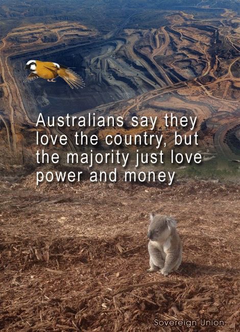 Luke smith tweet media