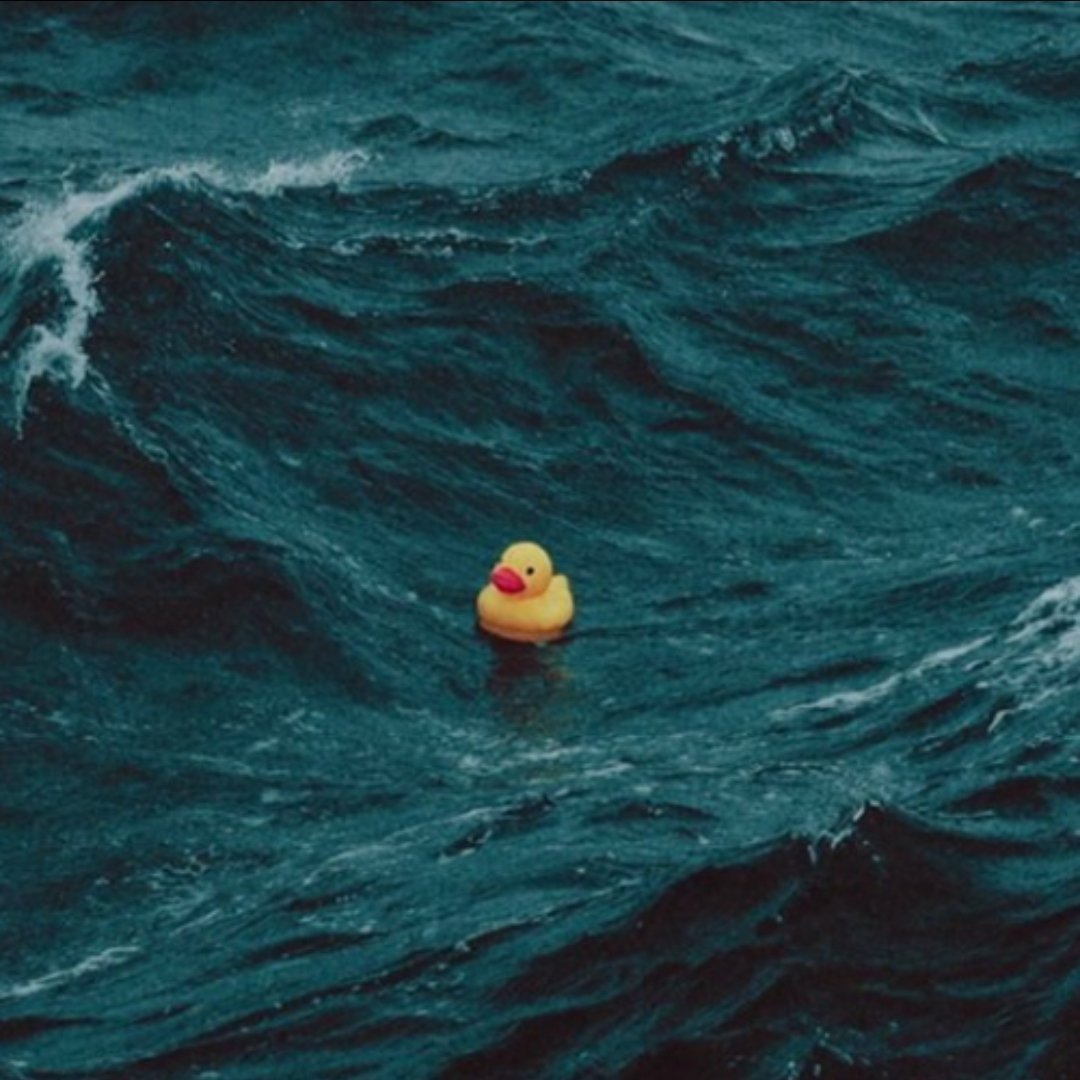 #小黄鸭 等待巨浪  0x63da12A215EBa1e2842221cDAcfCcFEA8F0e4444