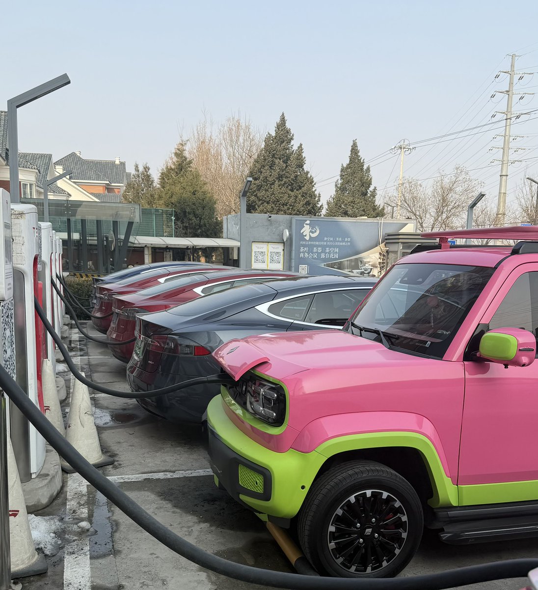 ワイタト tweet media