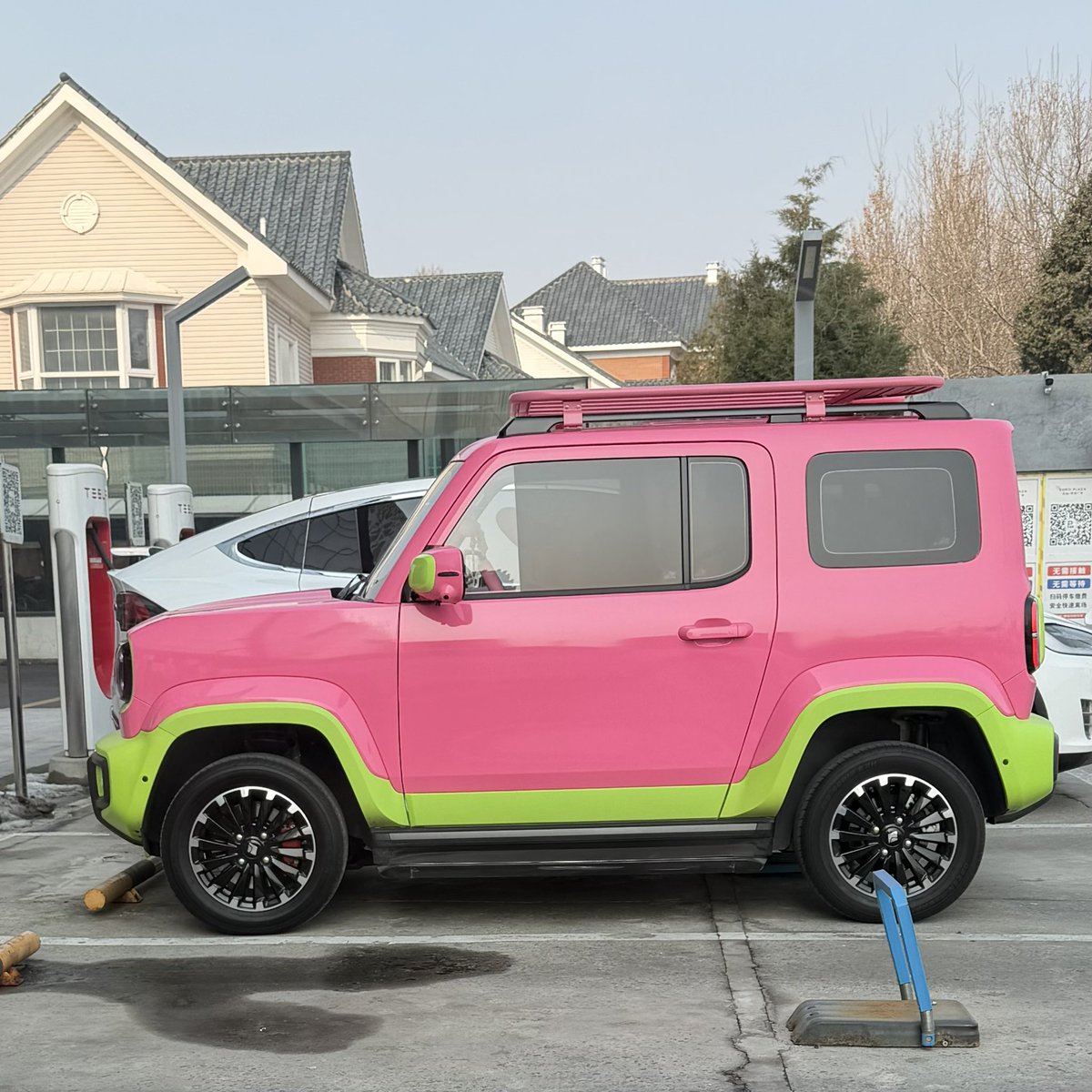 ワイタト tweet media