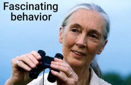 Space Force Granny tweet media