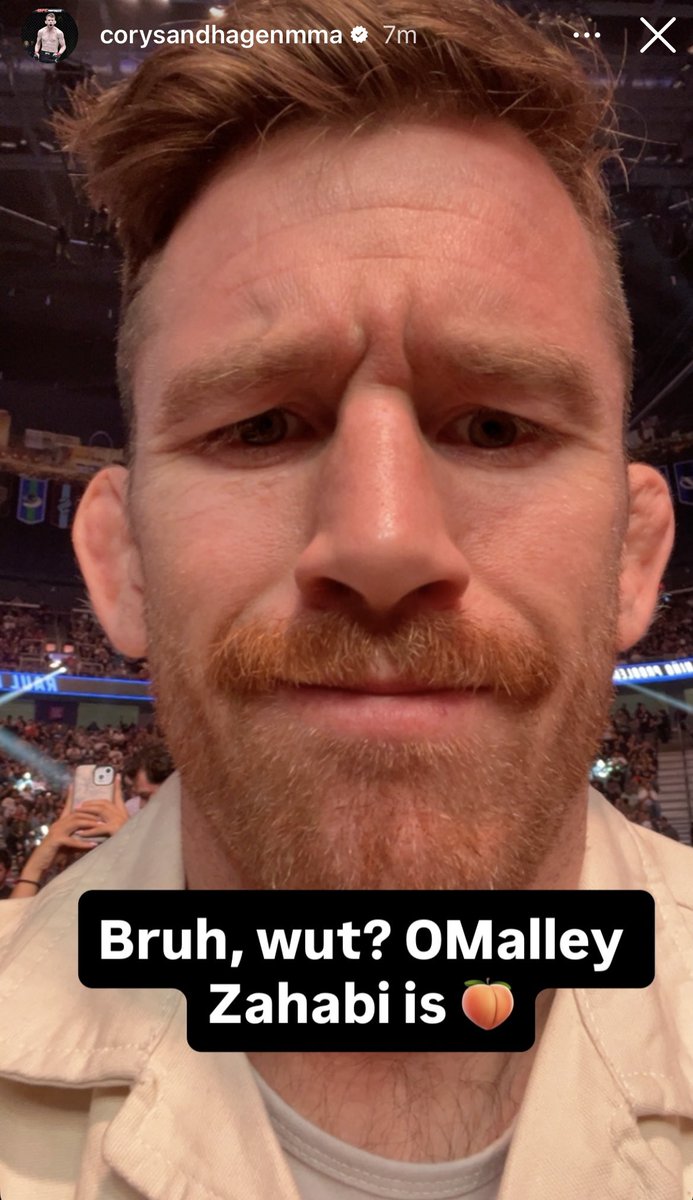 Home of Fight tweet media