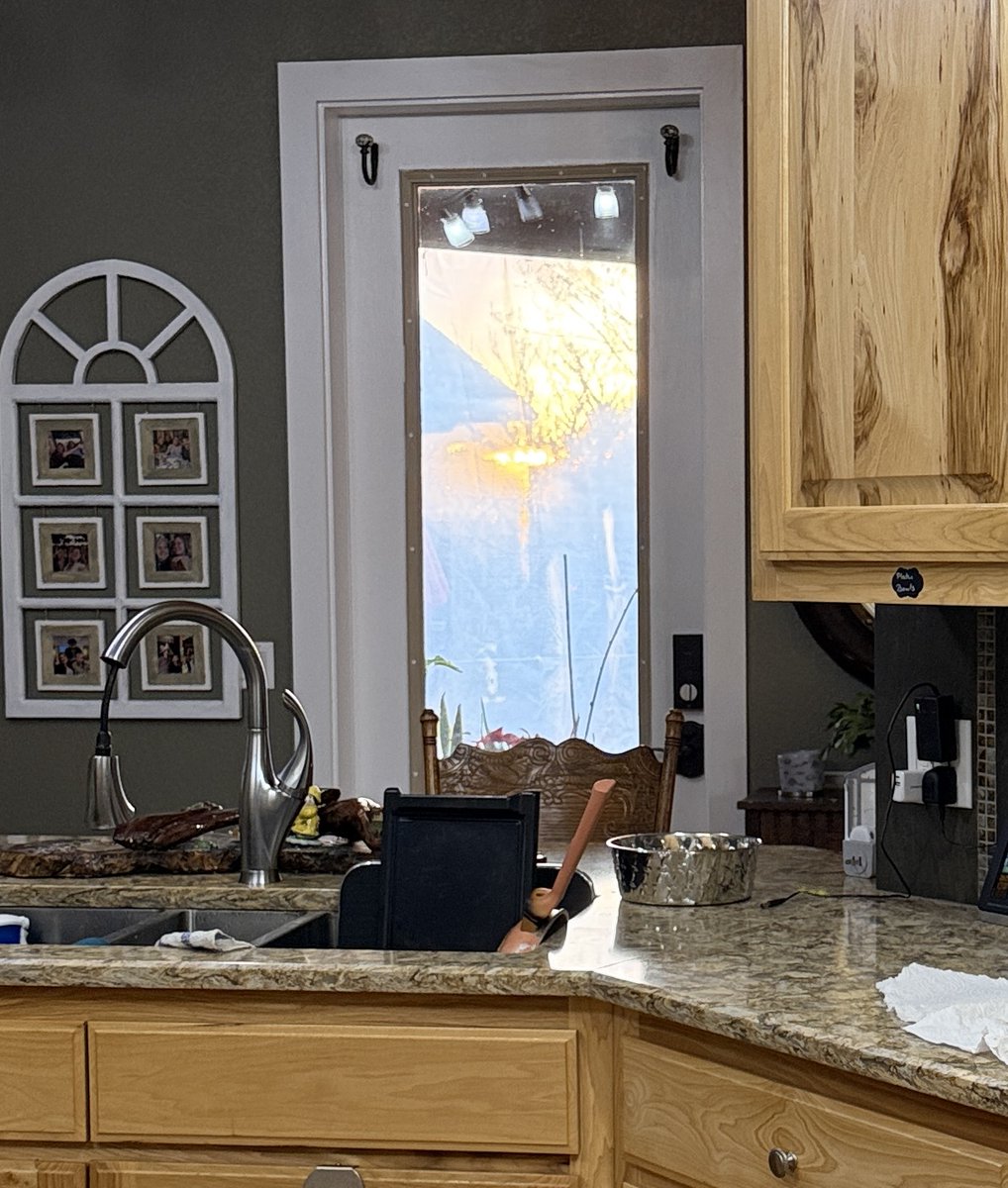 Tempie Lyons tweet media